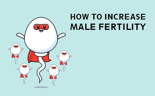 How To Increase Male Fertility - Nuutjob