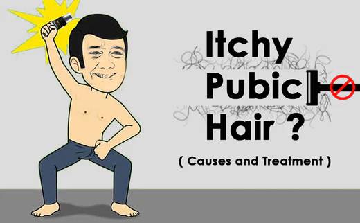Itchy Pubic Hair (Causes and Treatment) - Nuutjob