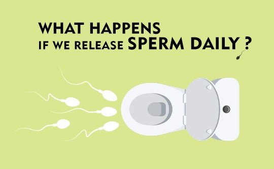 What Happens If We Release Sperm Daily - Nuutjob