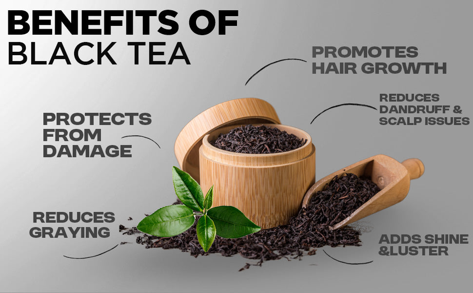 Complete Hair Care Combo– Power of Black Tea for Stronger, Healthier Hair