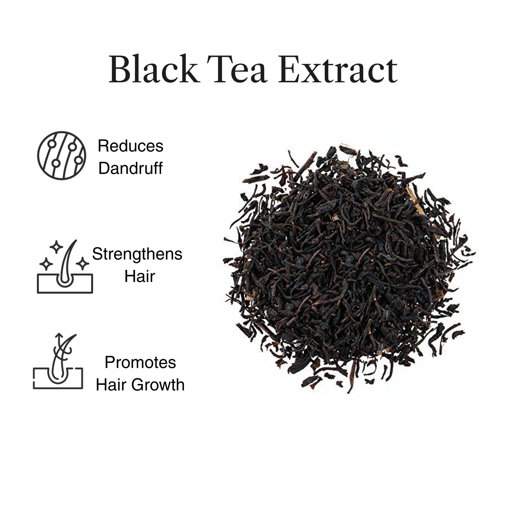 Nuutjob Black Tea Anti-Dandruff & Hair Fall Control Shampoo For |  Unisex | 200ml